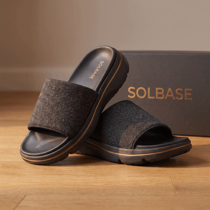 Solbase Recovery Slides